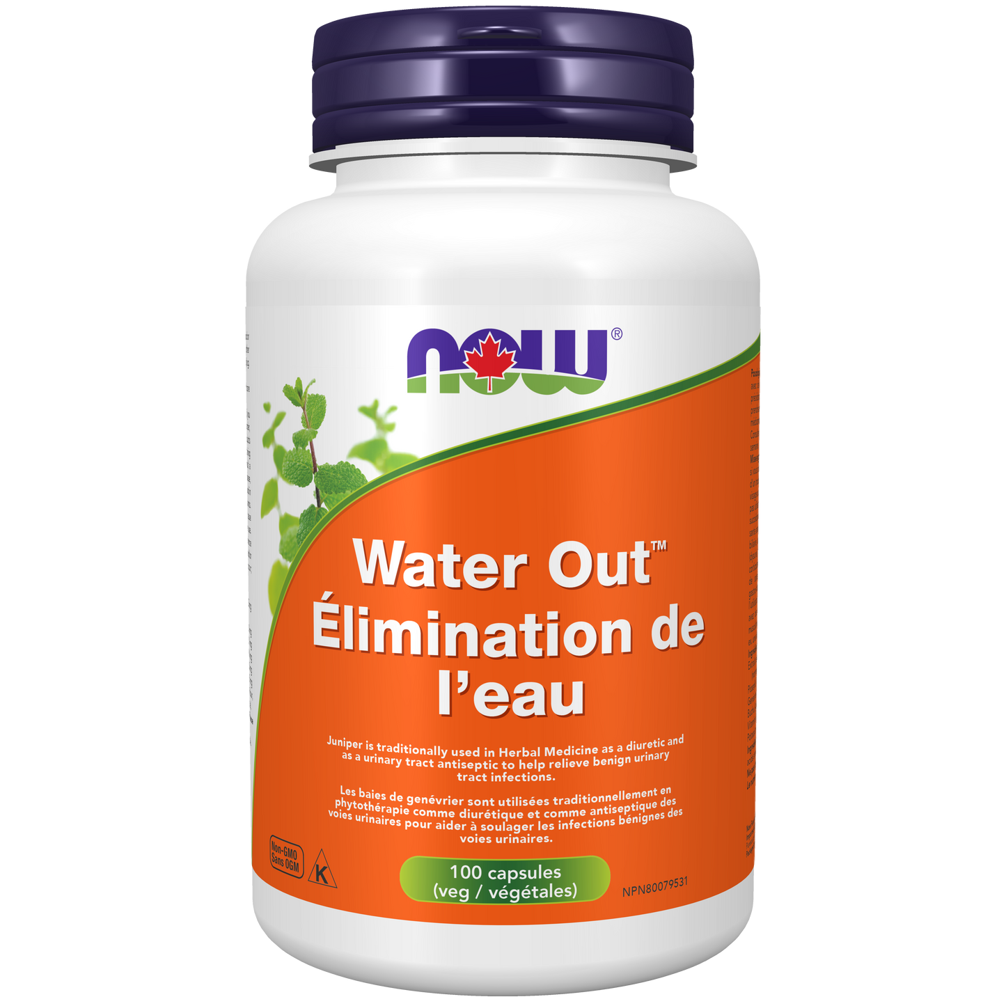 WATER OUT DIURETIC 100 VEG CAPS NOW