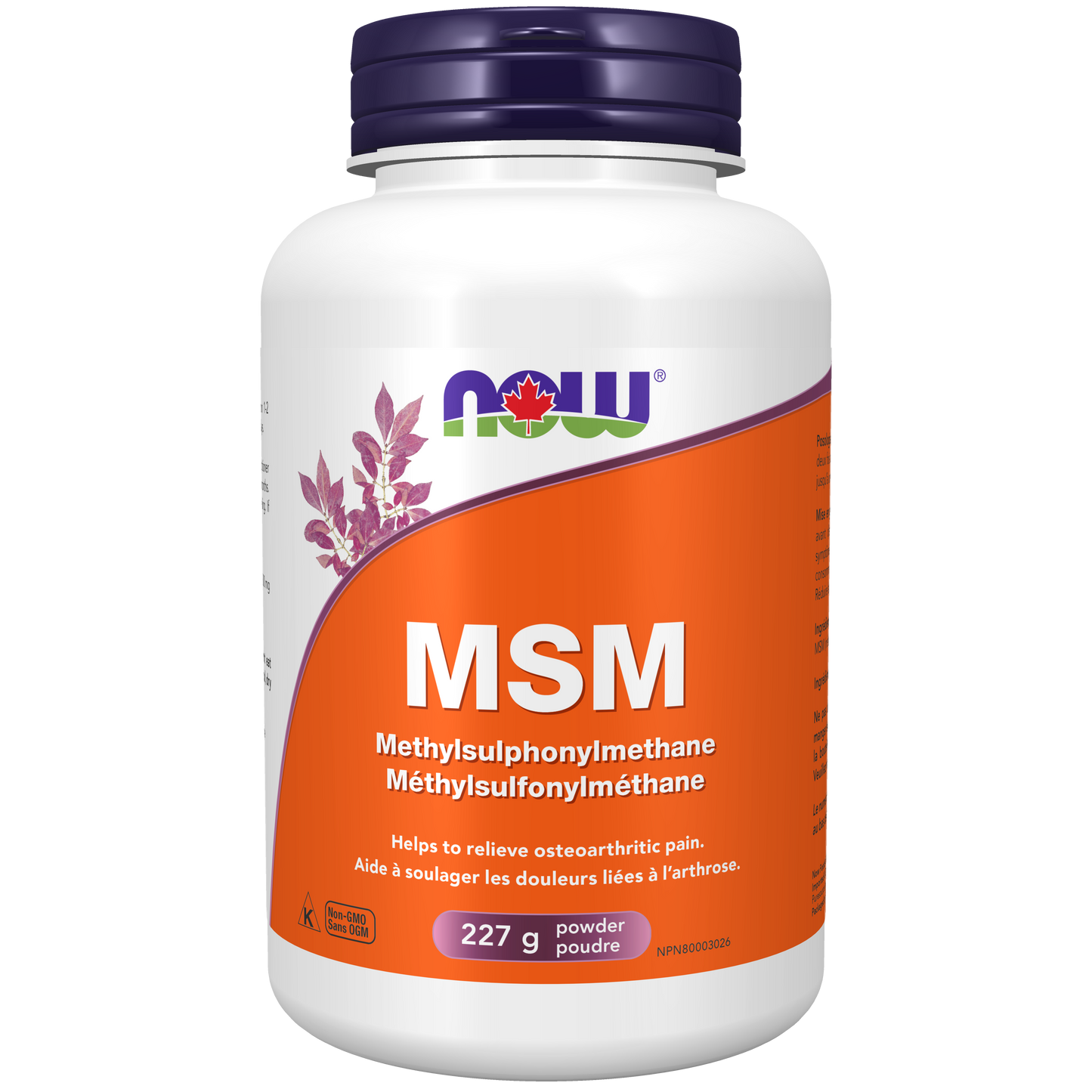 MSM POWDER 227G NOW