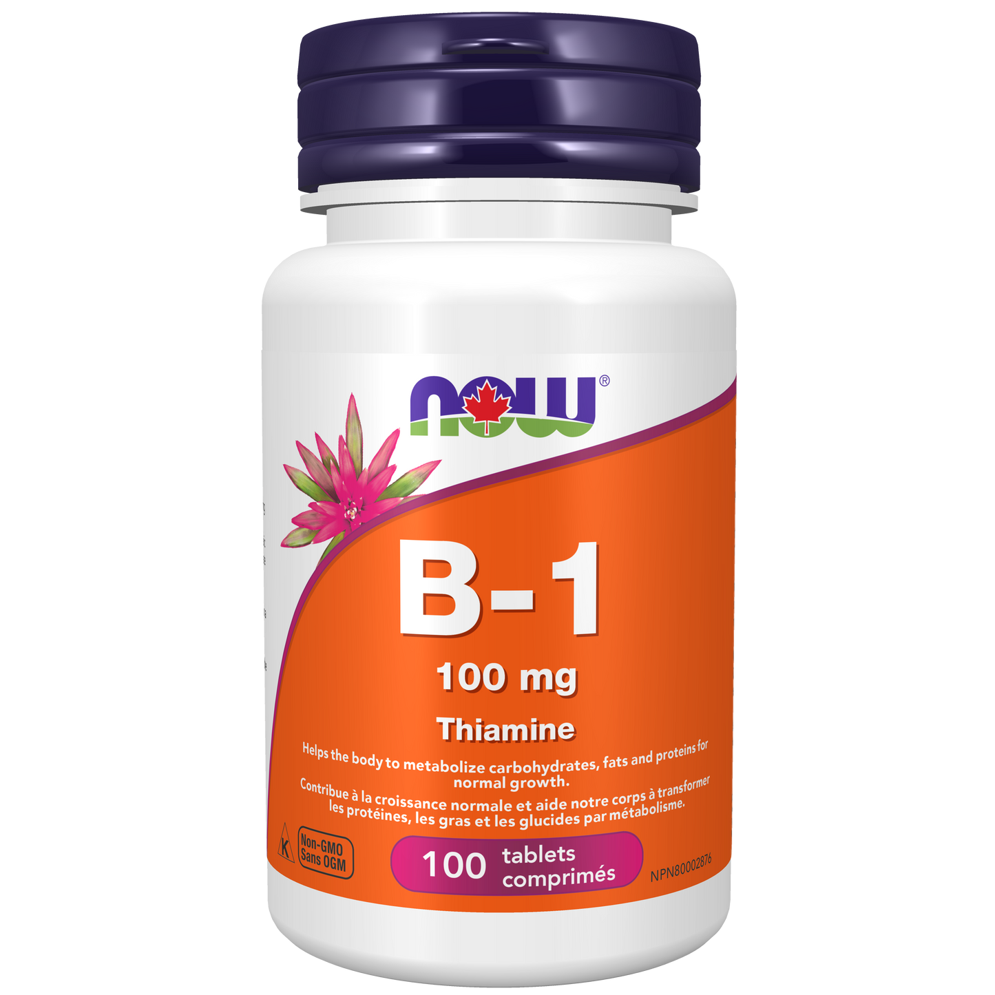 B1 100MG 100TABS NOW