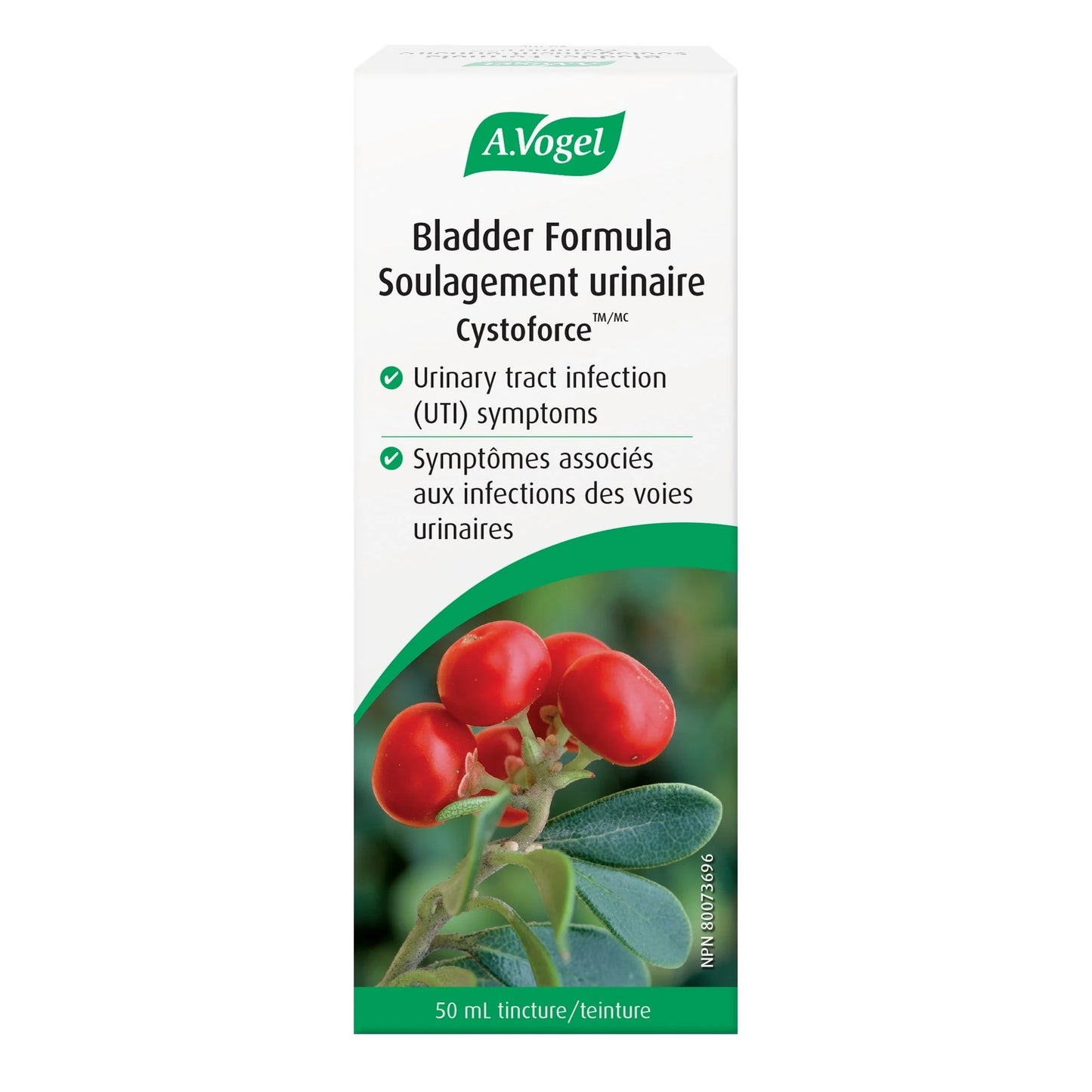 BLADDER FORMULA 50ML A. VOGEL