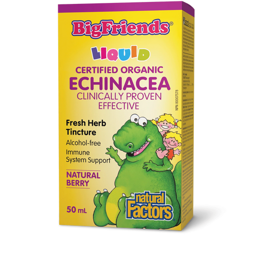 BIG FRIENDS ECHINACEA ALC. FREE 50ML NATURAL FACTORS