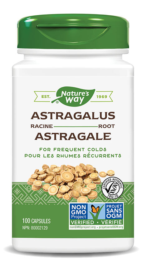 ASTRAGALUS ROOT 100CAPS NATURE'S WAY