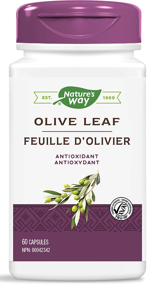 OLIVE LEAF 60VCAPS NATURE'S WAY