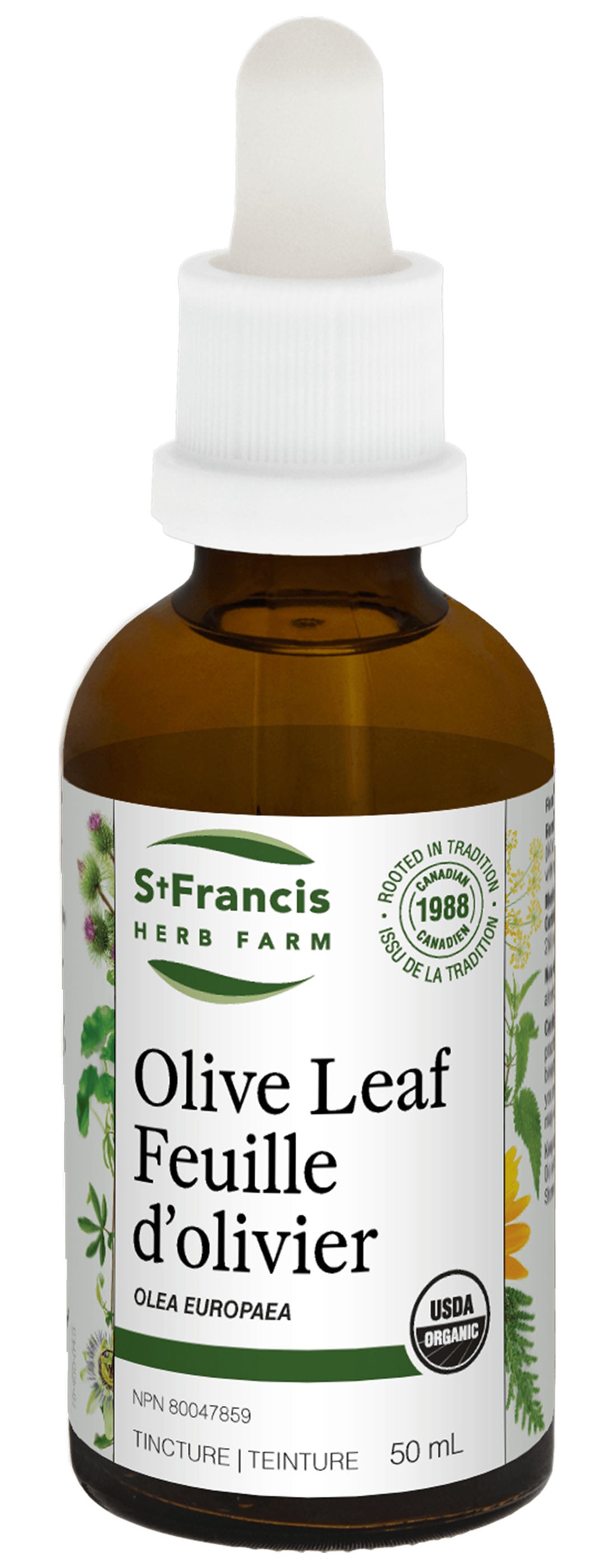 OLIVE LEAF 50ML ST. FRANCIS