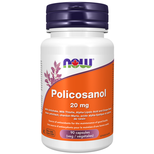 POLICOSANOL 20MG +ALPHA LIPOIC ACID 90 CAPS NOW