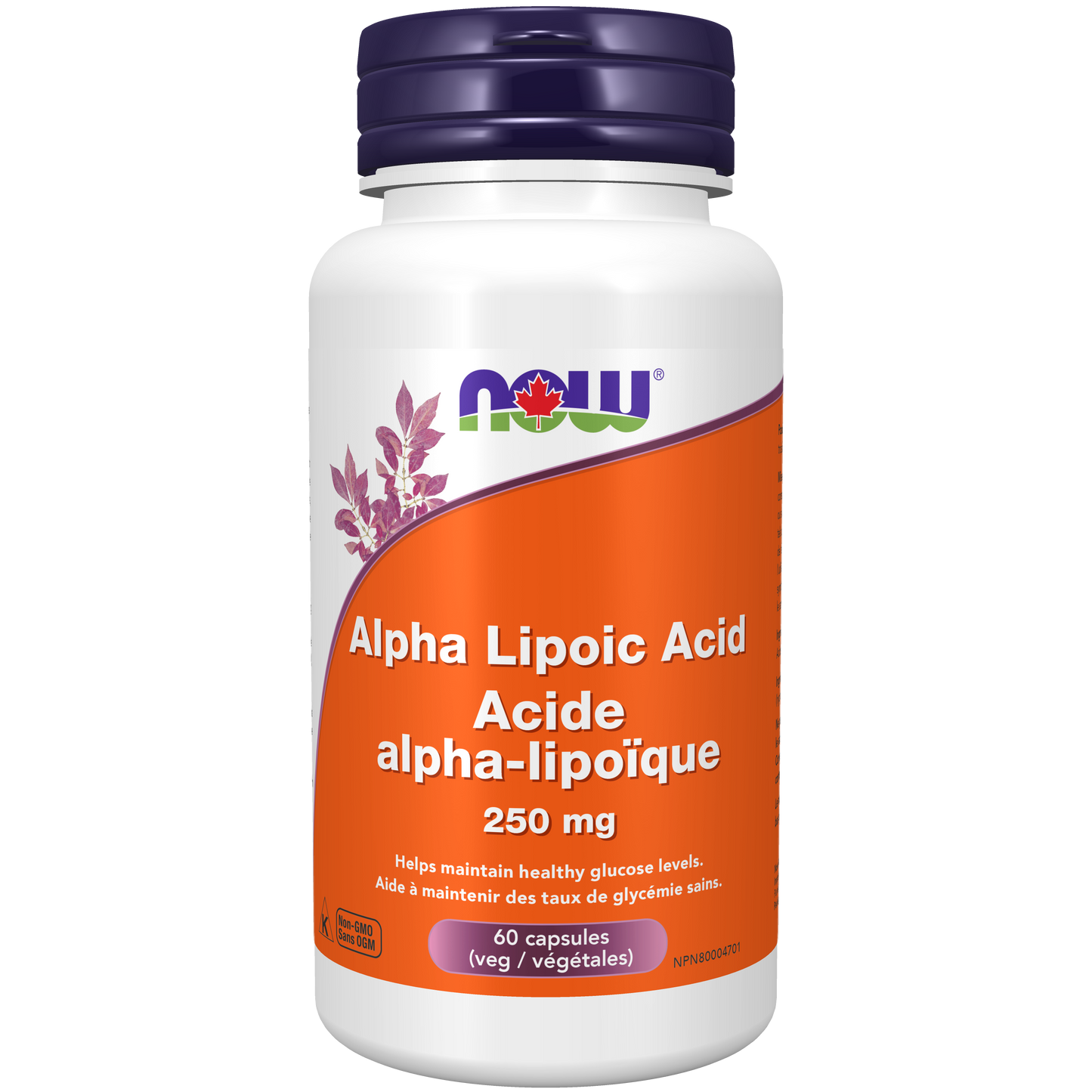 ALPHA LIPOIC ACID 250MG 60 CAPS NOW