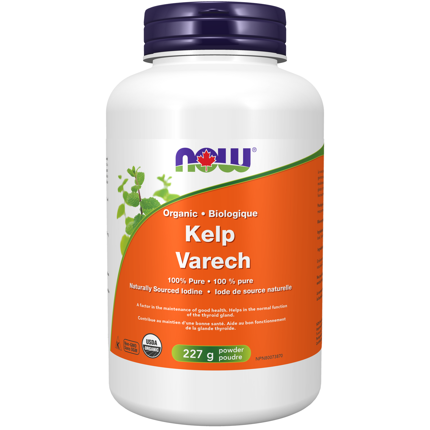 KELP POWDER 227G NOW