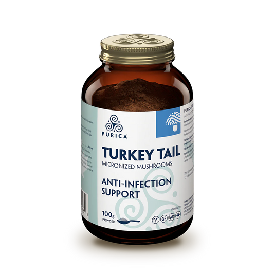 TURKEY TAIL MUSHROOM POWDER 100GR PURICA
