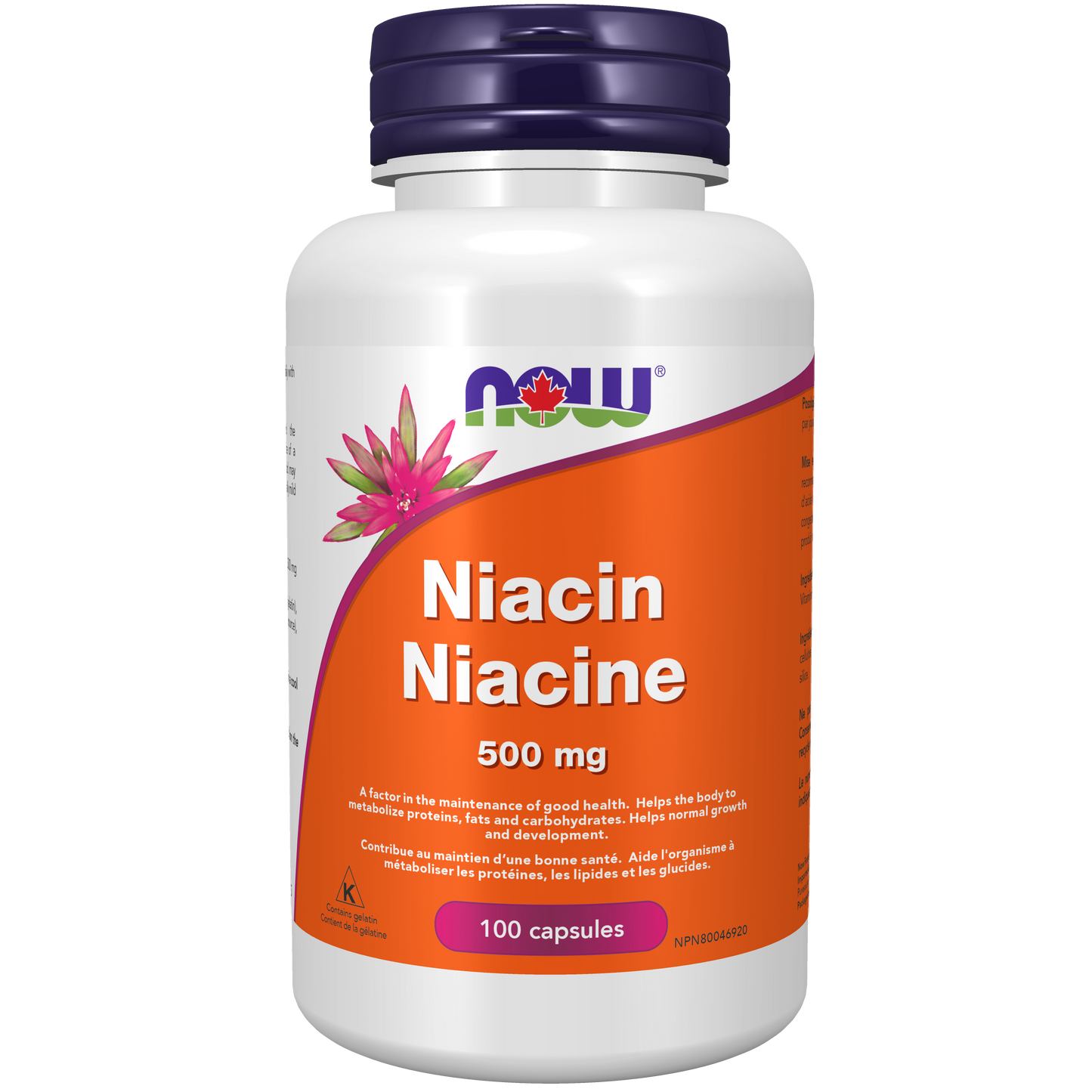 NIACIN 500MG 100 CAPS NOW